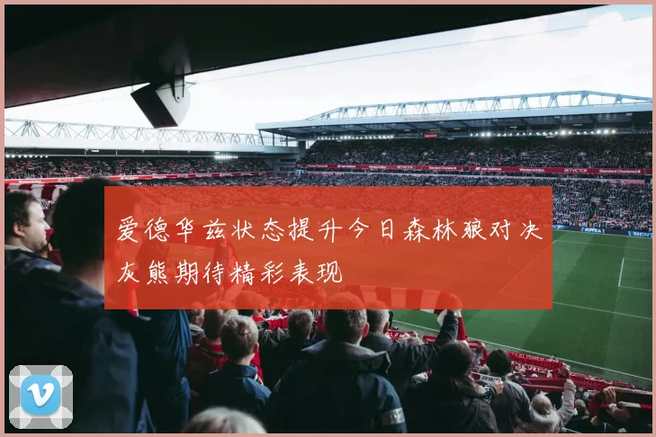 爱德华兹状态提升今日森林狼对决灰熊期待精彩表现